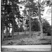 Väg till SMU:s ungdomsgård,
Bakom vägen gravfält. T.h. kanten vid ett sandtag.
Bilderna tillhör ett avstyckningsärende dnr 81/349.
