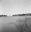 Båthus, långsida och gavel från sydost.
Norrmyravägen 13 Eskön.