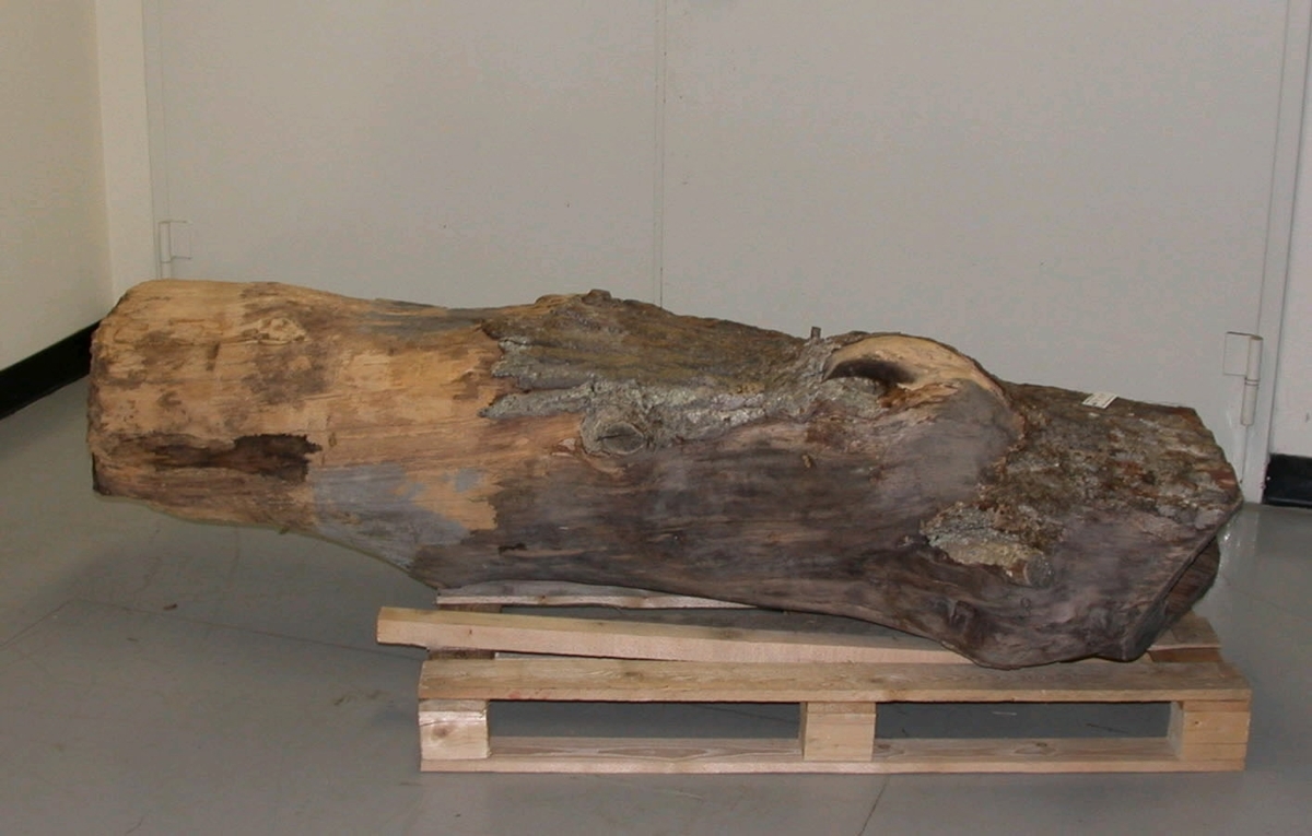 Stock, vari bina tagit sin bostad i skogen, nedsågad och hemförd. Täckt med granbark och träklabbar. Hackspetthål som ingång. 
Höjd: 176 cm.