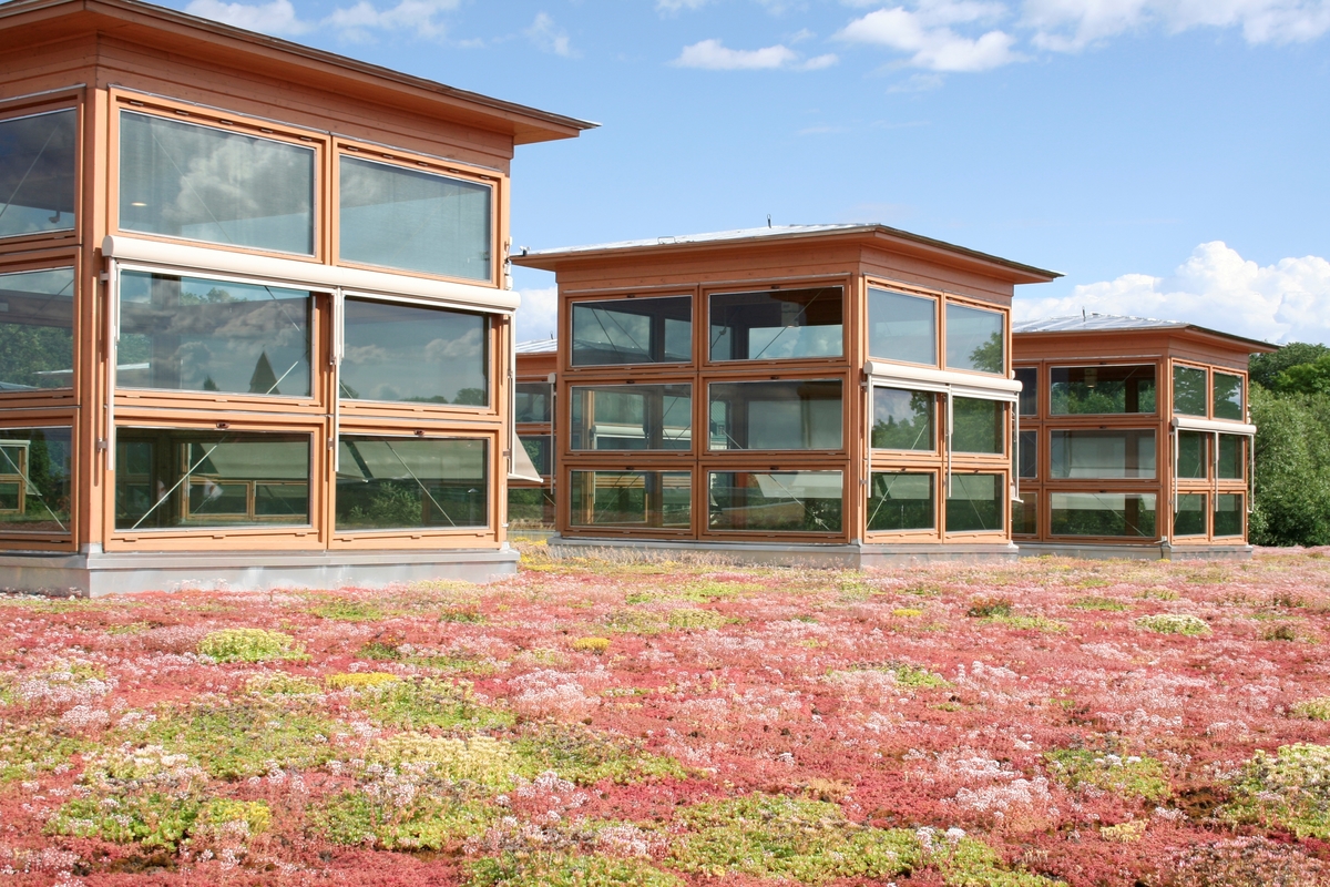 Sedumtaket på stadsbiblioteket.
Arkitekten Johan Nyrén ritade förslaget Vända sida och invigningen var 2000-03-16. Byggnadens rena naturmaterial speglar ett ekologiskt tänkande. Under Arkitekturåret 2001 valdes biblioteket till Linköpings mest populära moderna byggnad.