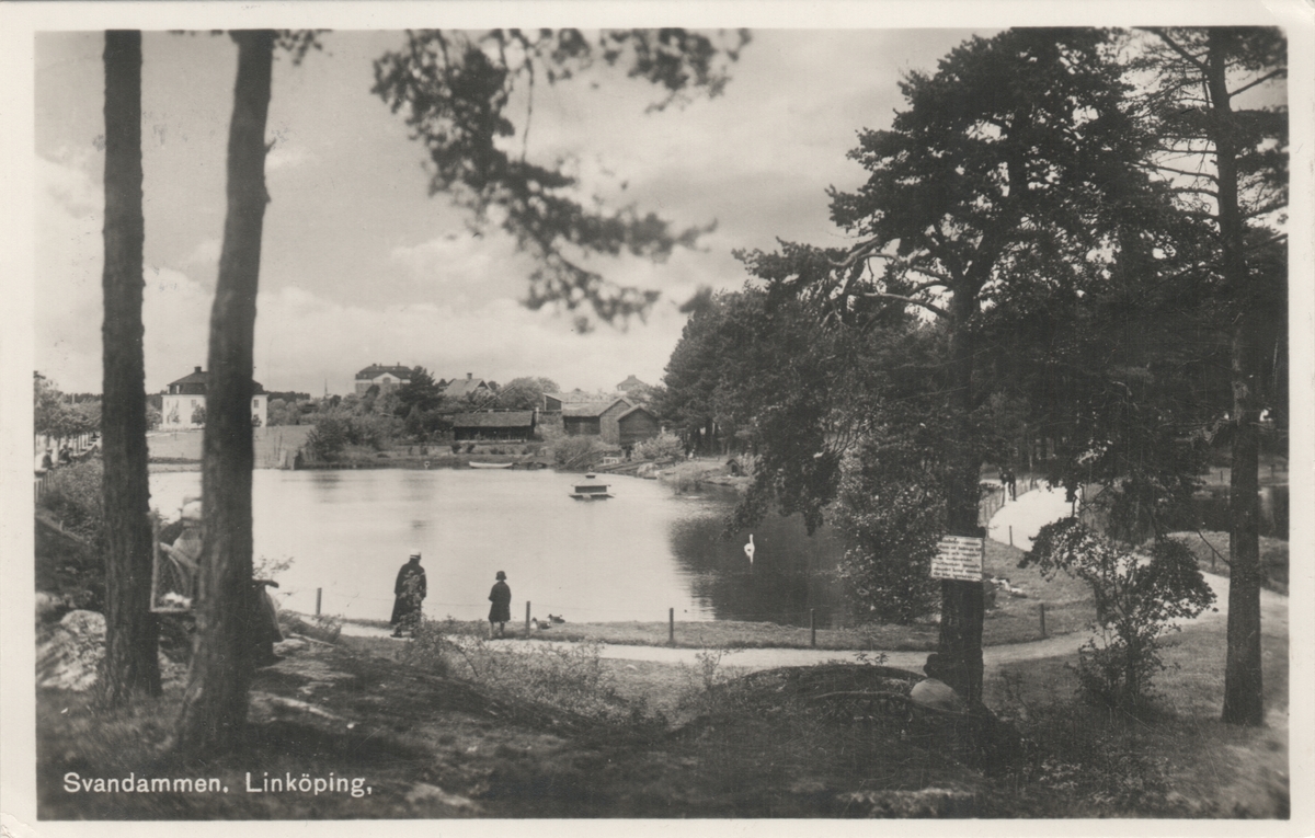 Orig. text: Svandammen. Linköping.

Vy sedd norrut, i fonden skymtar Kanslihuset på Kaserngatan.