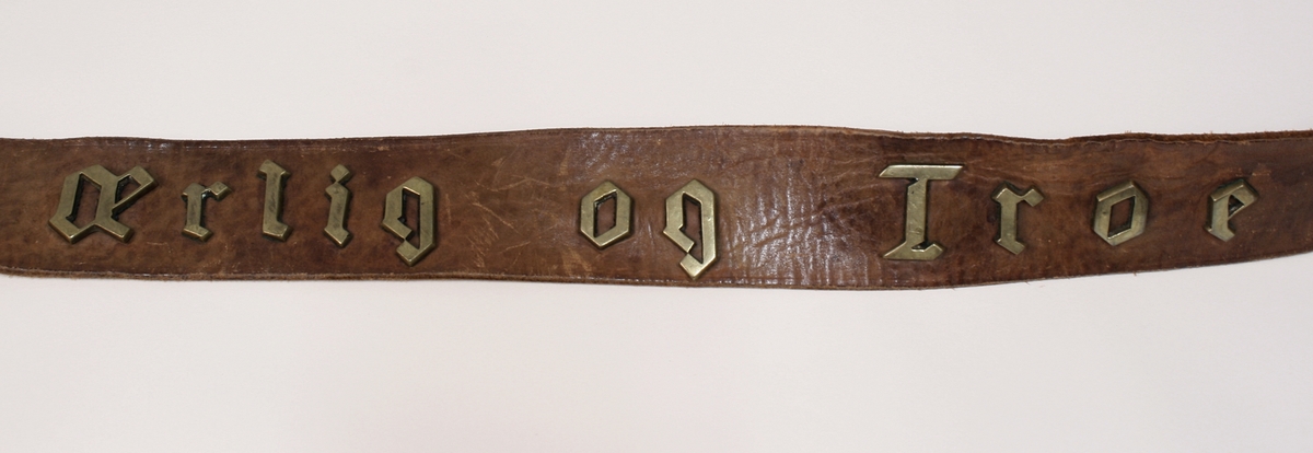 12 glatte messingknapper foran, 3 knapper på hvert av ermenes oppslag. En lomme på hver side, hver lomme med 3 knapper. Gule paspoiler om oppslag, lommeklaffer og knappingen foran.

Beltet har jernspenne med 1 torn. Devisen er fastnaglet. Man kjenner også til fra gamle tegninger av vekteren at beltet har hatt devisen "Ædru og Troe".


Har øreklaffer til å brette ned og kneppe sammen under haken. Foran en rett oppstående skygge.