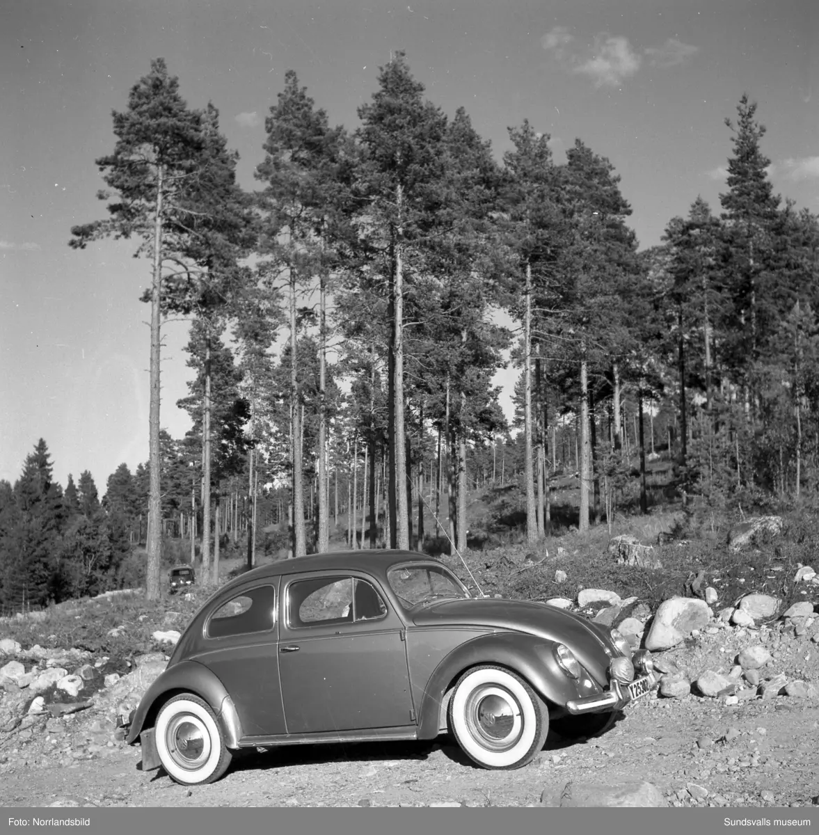 Olika bilar fotograferade för Bil & Buss. Folkvagnsbuss, Bubbla, Scania Vabis lastbil och timmerbil.
