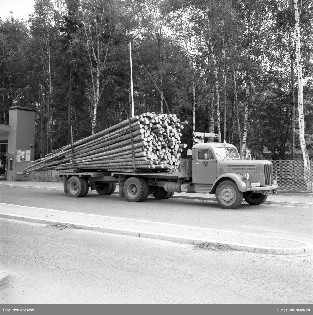 Olika bilar fotograferade för Bil & Buss. Folkvagnsbuss, Bubbla, Scania Vabis lastbil och timmerbil.