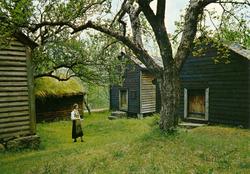 Postkort fra Hardanger Folkemuseum, Utne.