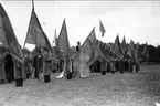 Standar och fanor vid kamratdagen 7 juni 1937.