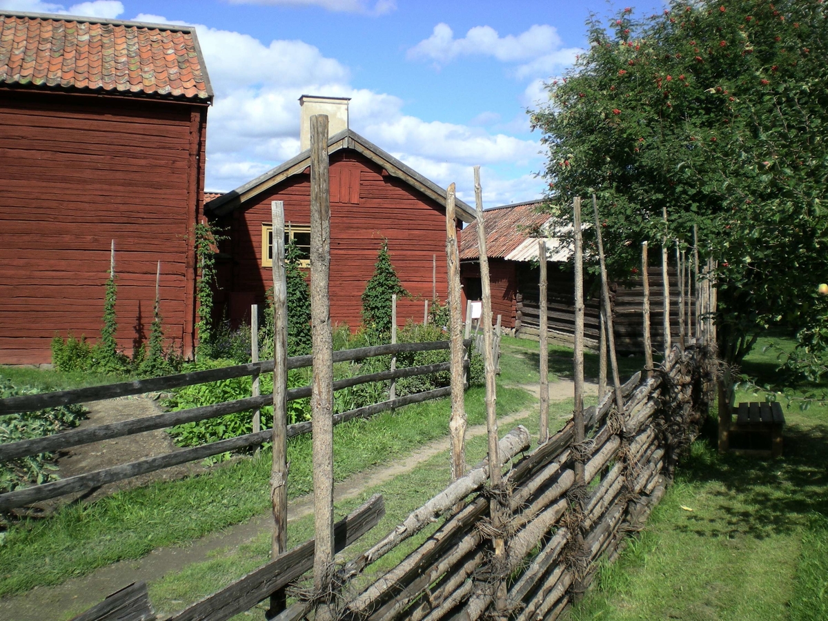 Bygata med gärdesgårdar och omgiven av Gränbygården till vänster och mat- och spannmålsbod till höger, friluftsmuséet Disagården, Gamla Uppsala, Uppland 23 augusti 2008