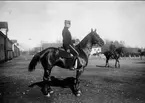 1. Årselever vid Strömsholmskursen, dressyr på Stallplan. Strömsholm 1910-11.