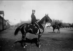 1. Årselever vid Strömsholmskursen, dressyr på Stallplan. Strömsholm 1910-11.