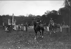 Kapplöpningar våren 1911 på Österängen, Strömsholm. Strömsholm 1910-11.