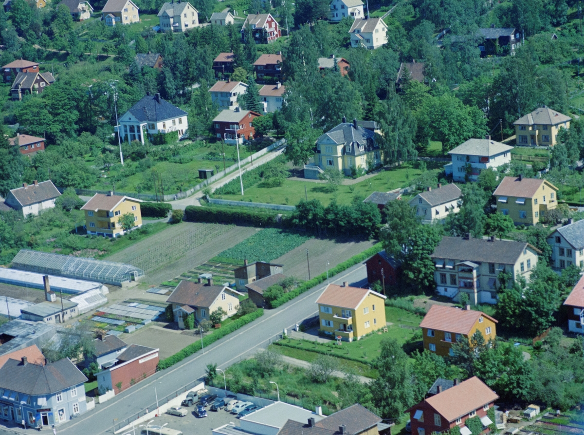 Flyfoto, Lillehammer, bebyggelse, nordre bydel med Løkkegata fremst i bildetsom møter Gamlevegen. Erik Bues veg opp til venstre. Christensens gartneri til venstre. Huset bak til venstre med søyler er Løkka, også nevnt som Madshus villaen. Har nå adresse Erik Bues veg. Gule villaen til høyre er Lillehammer Husmorskole. Gule huset i front er Løkkegata 29.