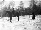 Strömsholm 1910-11. Tolkning på skidor efter häst.