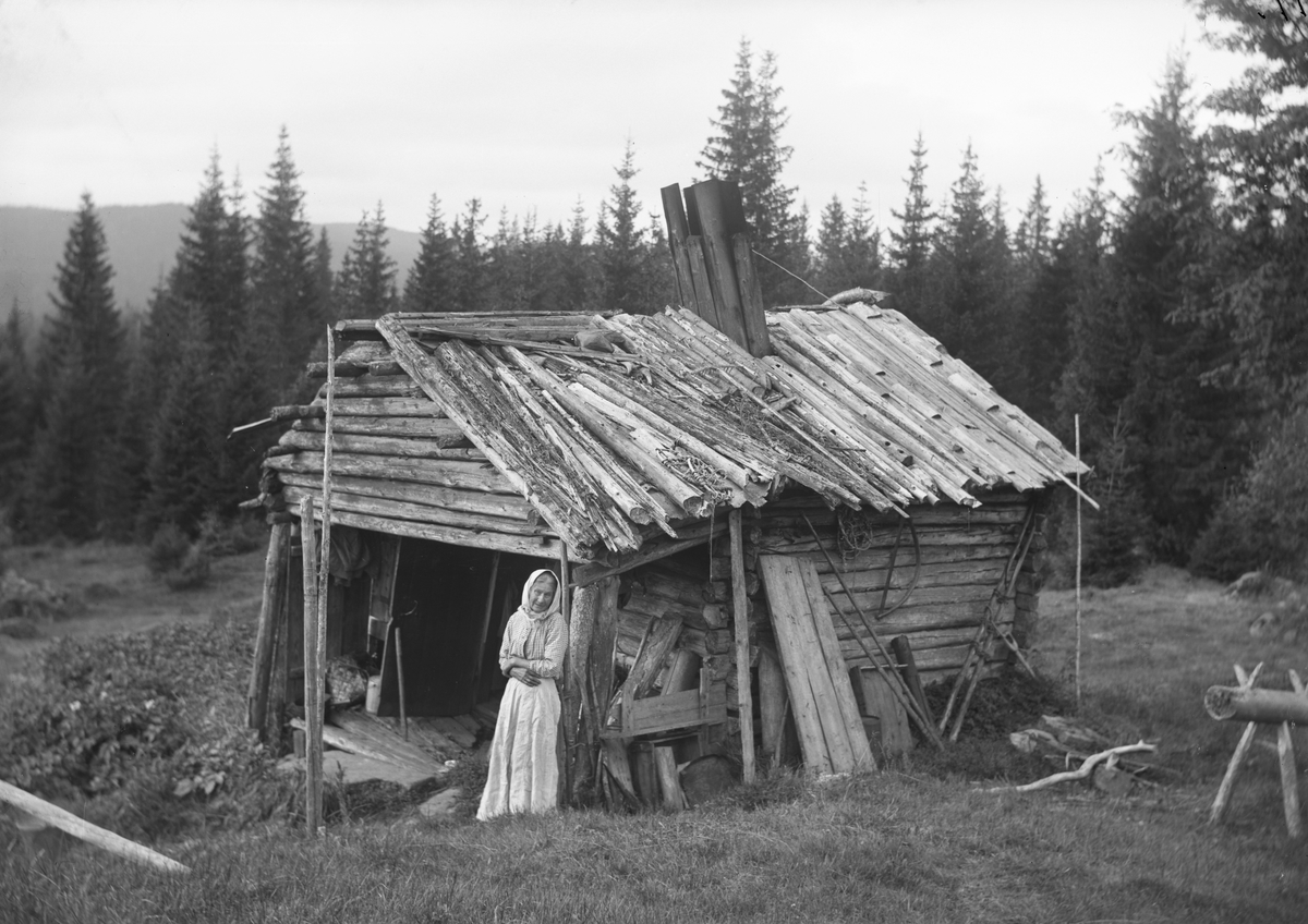 "Värmland. Östmark socken, Övra Busken, från nordost. Belägen ett stycke norr om Röjdåfors. Stugans enda innevånare är den gamla gumman, som synes å bilden."