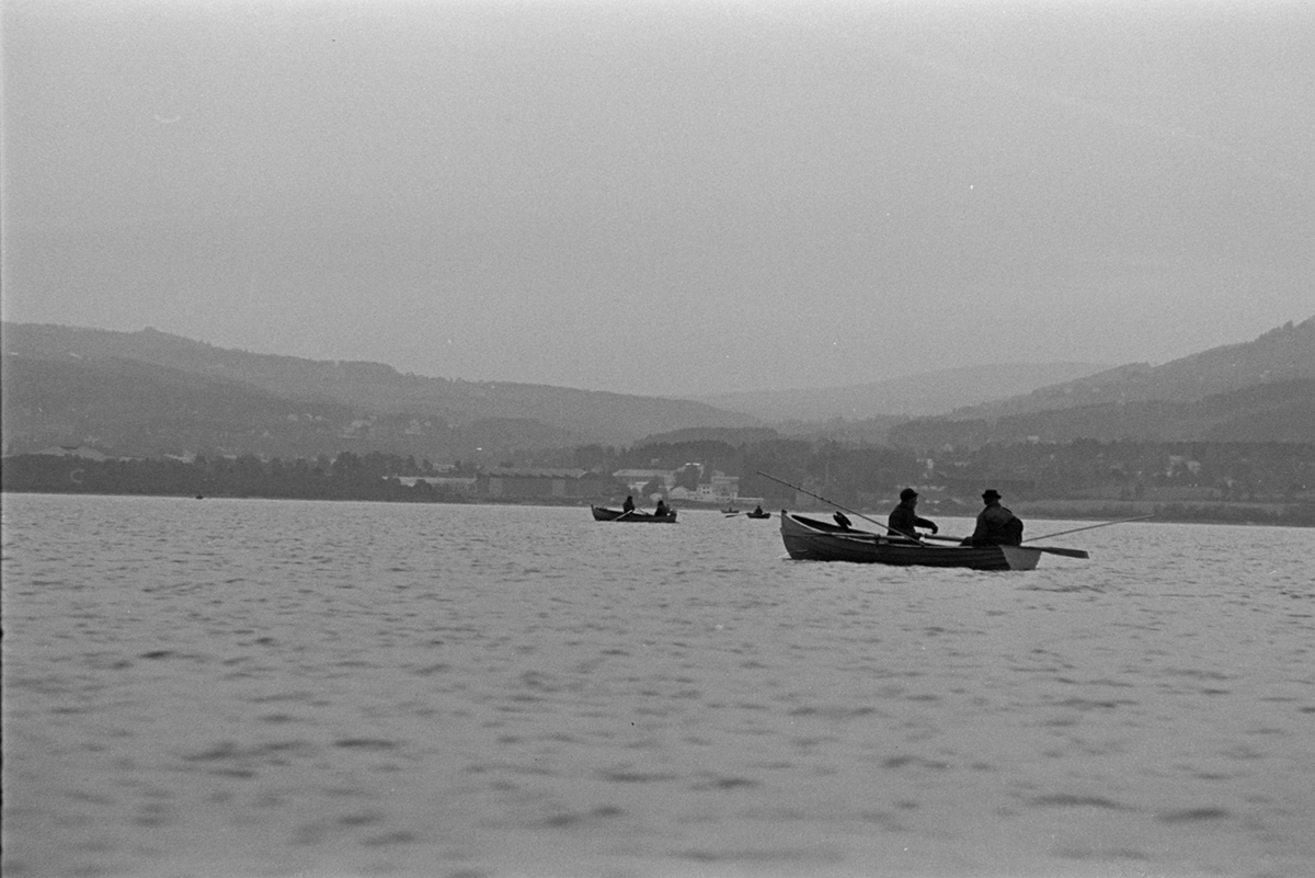 Mjøsfiske,dreggefiske,mjøsørret, Furnesfjorden.