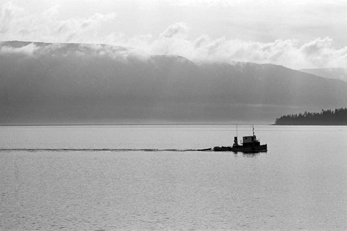 M/S Sævat, tømmerbåt, slepebåt, mjøsbåt, Mjøsa.
