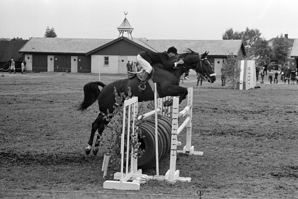 Ridestevne, Utstillingsplassen, hestesport, Hamar. 