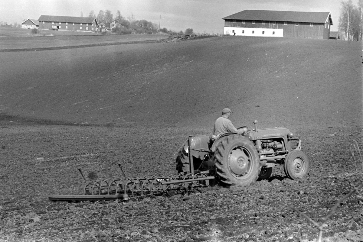 Våronn, slådding, traktor,ukjent gard, Vang H.