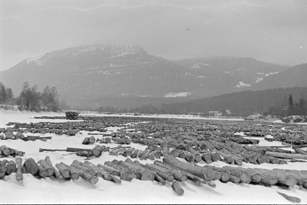 Tømmervelte, vinter, Glomma,  ukjent Østerdal