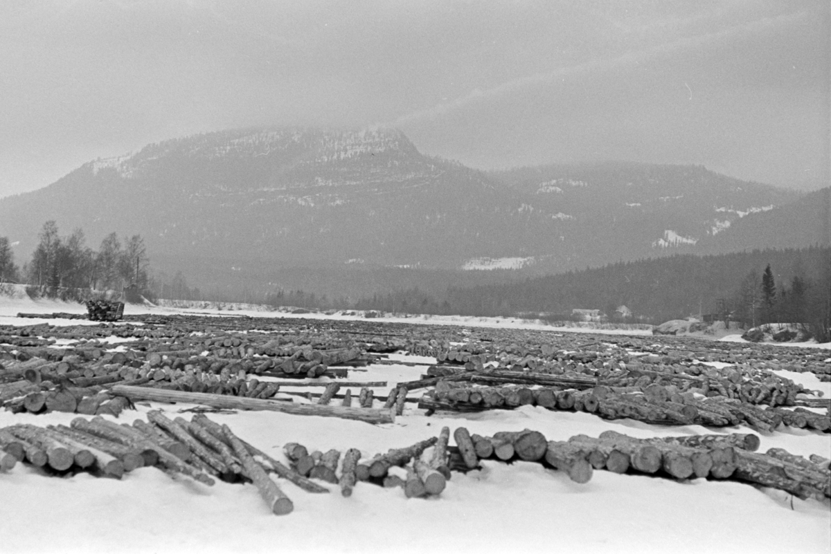 Tømmervelte, vinter, Glomma,  ukjent Østerdal