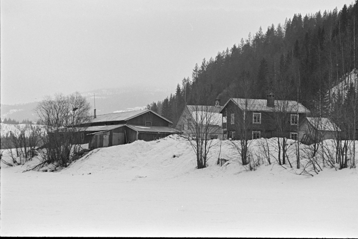 ukjent gard, Østerdalen?