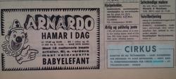 Hamar, Utstillingsplassen, Cirkus Arnardo,trapesartistene Ay
