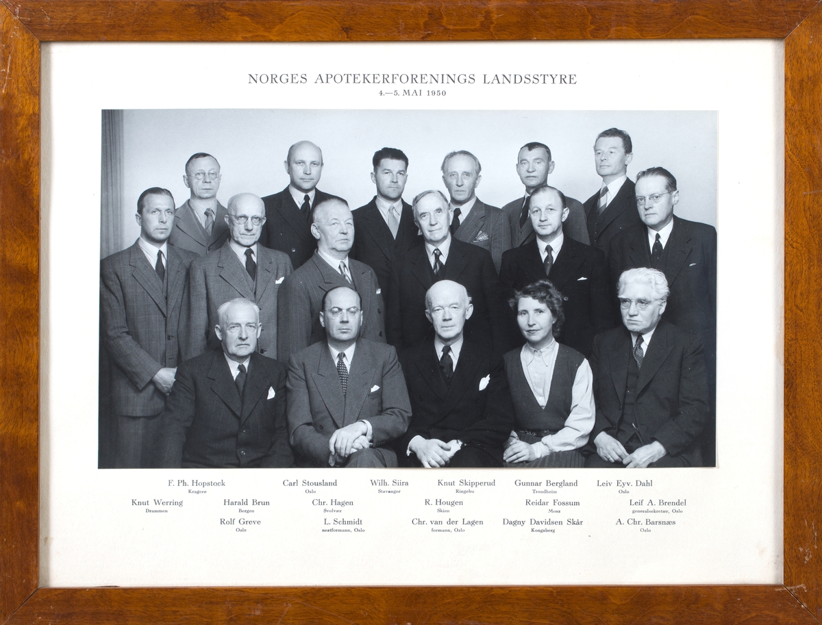 Gruppefoto av møtedeltagere, 16 menn og en dame.