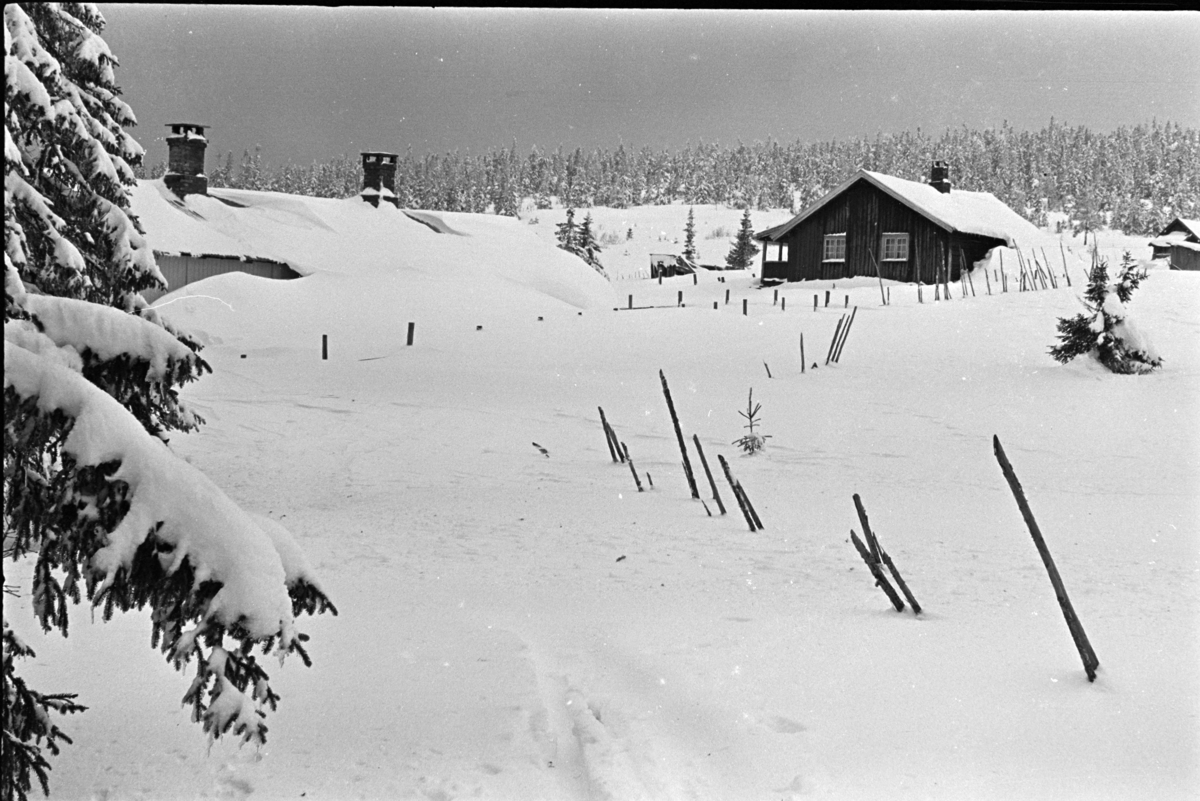 Budor, Løten, hytte, vinter,