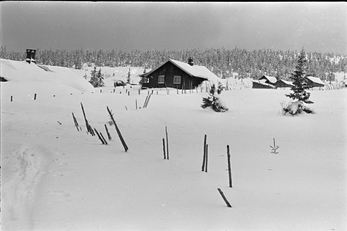 Budor, Løten, hytte, vinter,