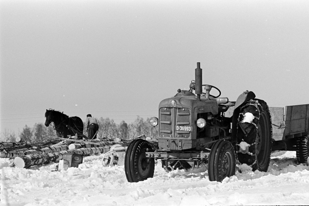 Tømmerlunning, Mengshoel,velteplass,hest, hesteredskap, skogsarbeider,traktor,Fordson Super Major D-36993, motorsag, bensinkanner.