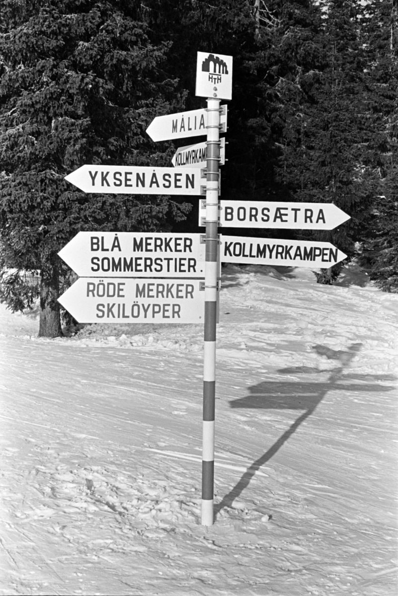 Hamar og Hedemarken Turistforening, Skilt, stier, skiløyper, Vangsåsen.