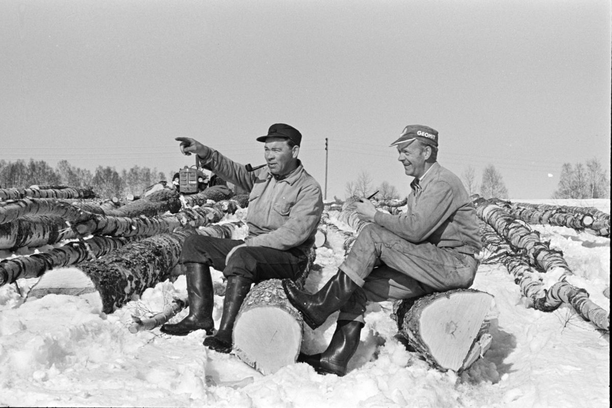 Tømmerlunning, Mengshoel,velteplass,to ukjente menn, røyker pipe, "røykepause", vedhogst, bjørkestammer.