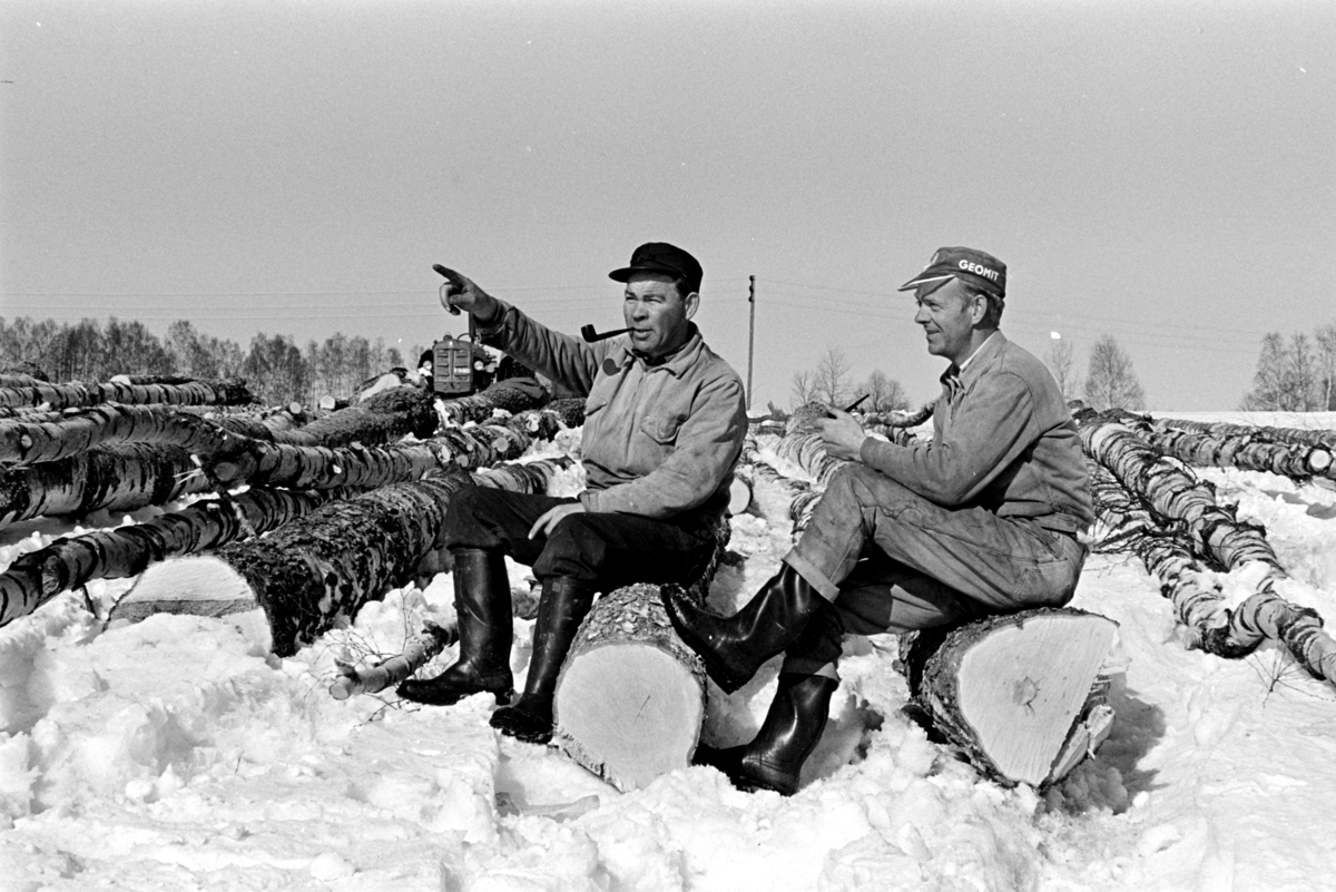 Tømmerlunning, bjørkestammer, Mengshoel,velteplass,,to ukjente menn, røyker pipe, "røykepause", vedhogst,
