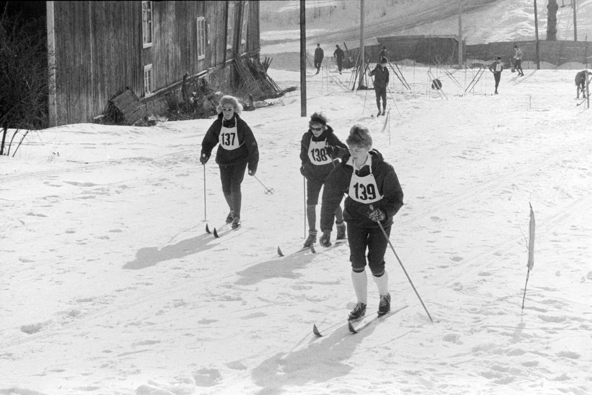 ØM , østlandsmesterskapet på ski for lærerskoler, arrangert av Hamar  lærerskoles  Idrettslag, skirenn, langrenn. Alujordet.
