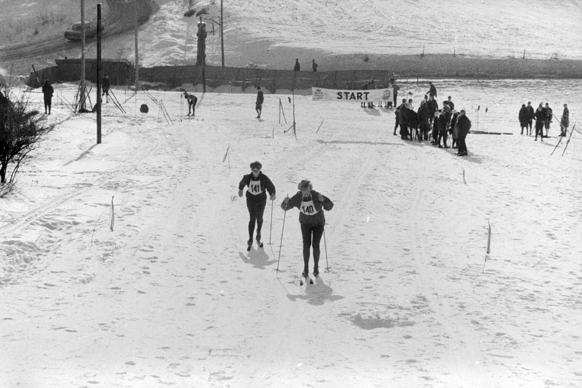ØM , østlandsmesterskapet på ski for lærerskoler, arrangert av Hamar  lærerskoles  Idrettslag, skirenn, langrenn. Alujordet.