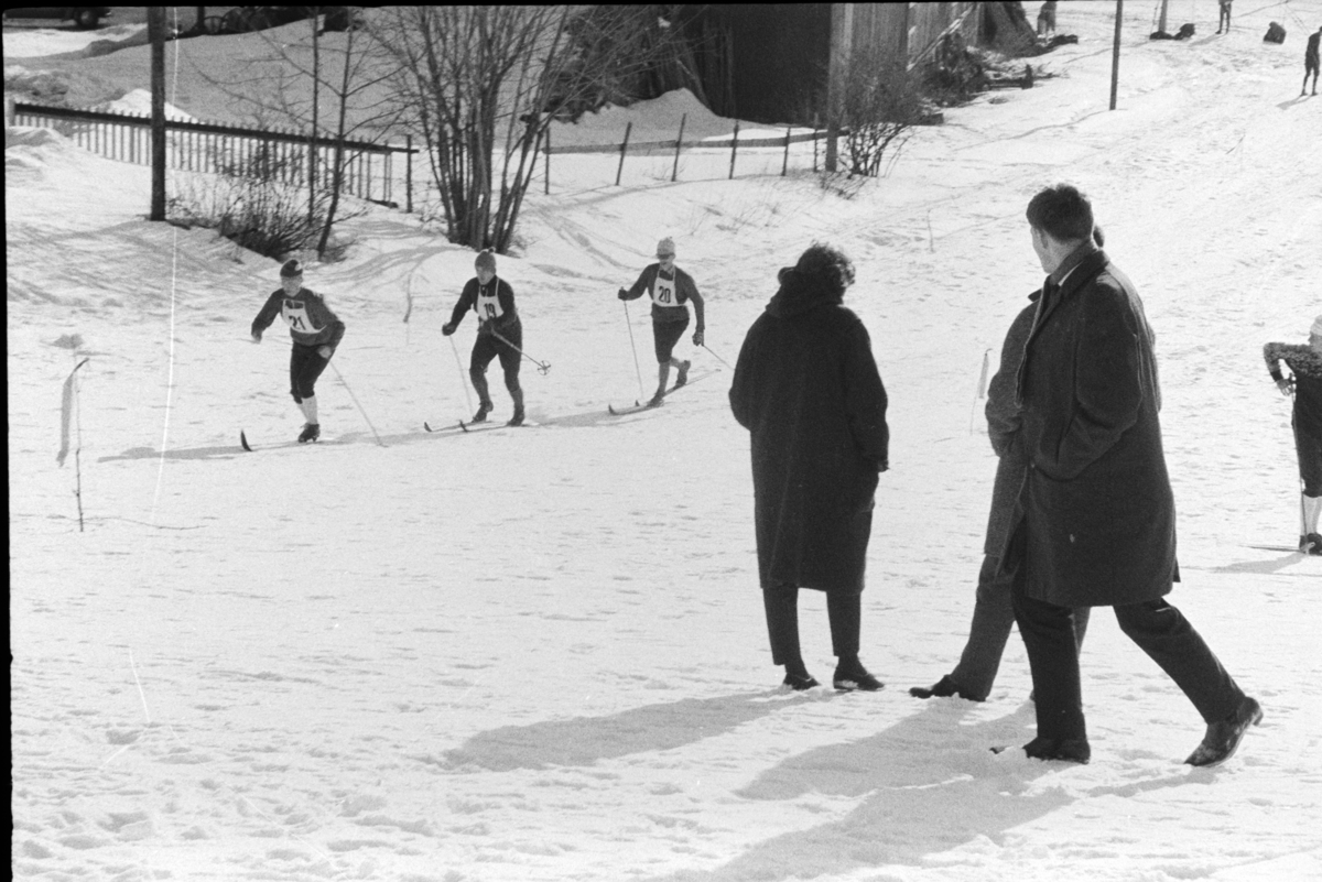 ØM , østlandsmesterskapet på ski for lærerskoler, arrangert av Hamar  lærerskoles  Idrettslag, skirenn, langrenn. Alujordet.