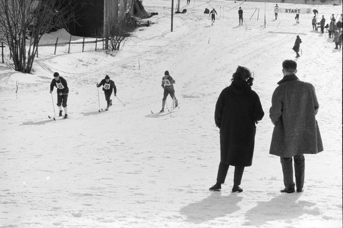 ØM , østlandsmesterskapet på ski for lærerskoler, arrangert av Hamar  lærerskoles  Idrettslag, skirenn, langrenn. Alujordet.