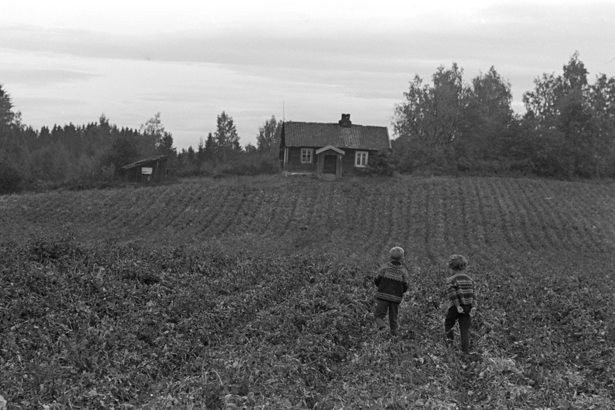 Barn,potetåker,husmannsplass, ukjent sted,