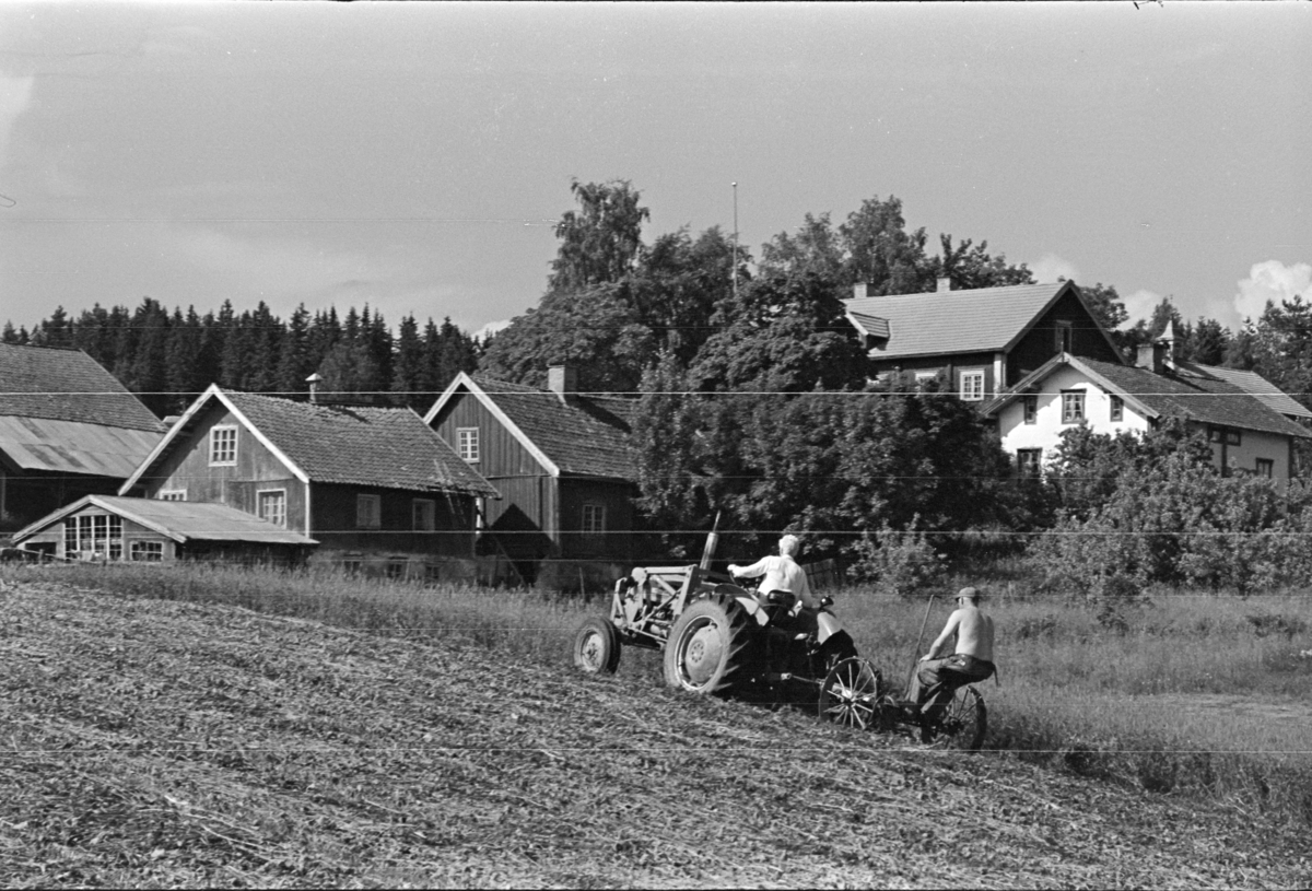 Alu, Alhaug østre, slåttonn,traktor,slåmaskin,