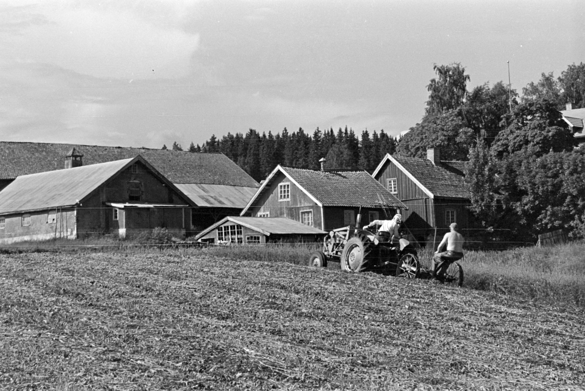 Alu, Alhaug østre, slåttonn,traktor,slåmaskin,