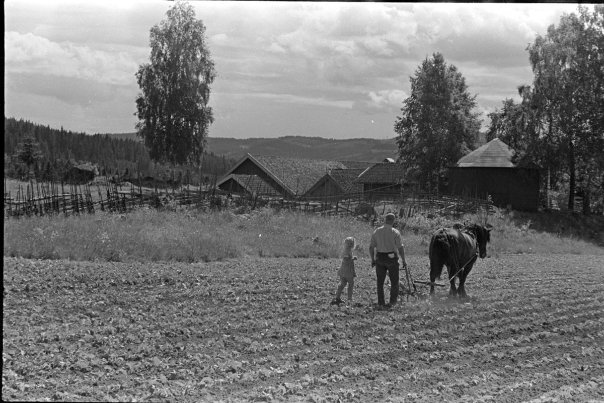 Hypping av åker, hest og plog, mann,kone, barn, ukjent sted Stange. Jordbruk.