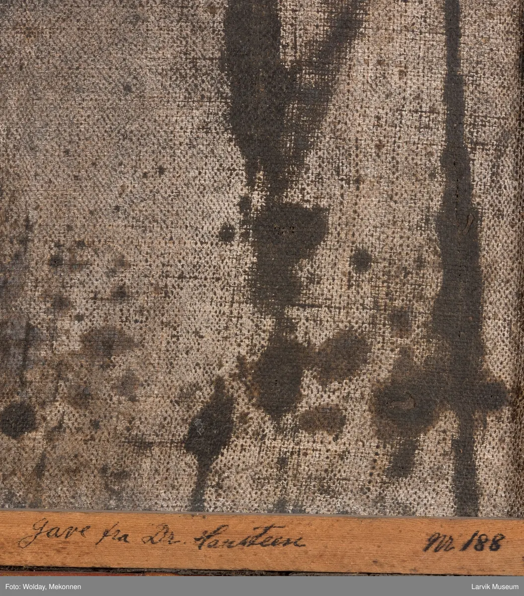 Portrett av Fredrik V