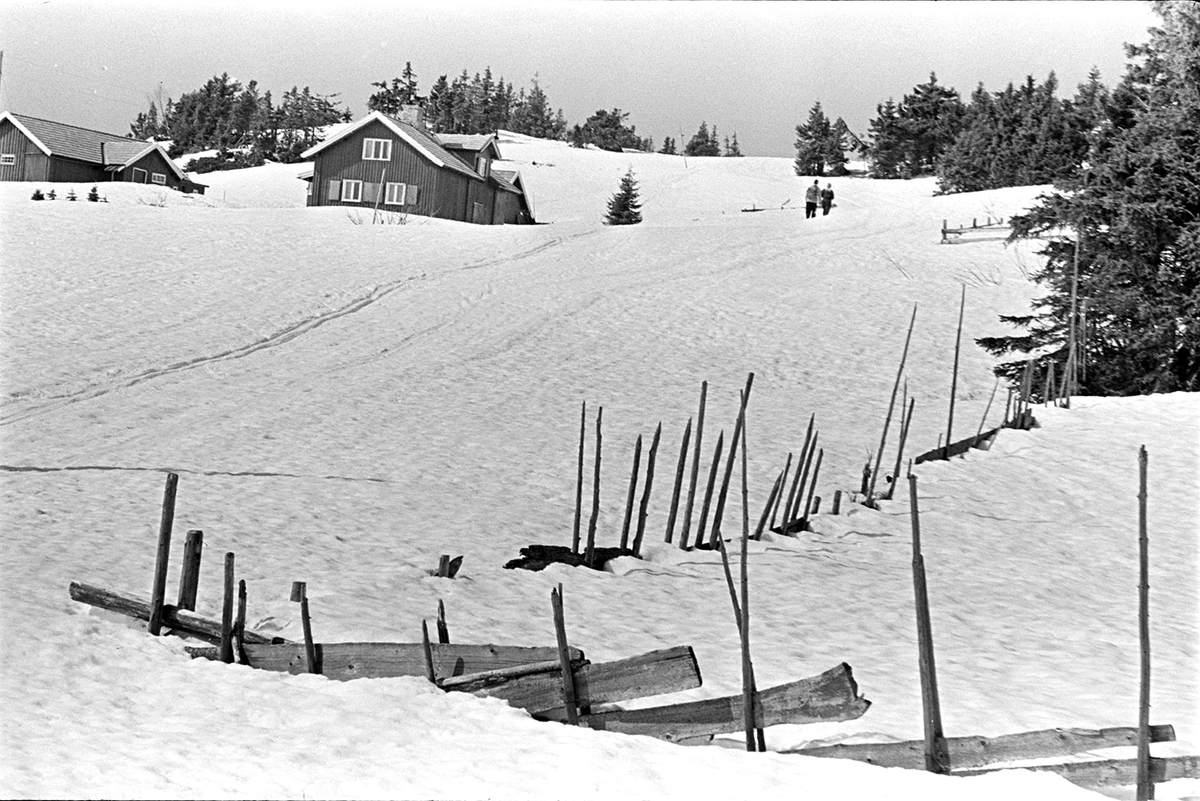 Sjusjøen,skiturister,hytter, skigard.