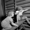 Barngymnastik. 
Januari 1956.