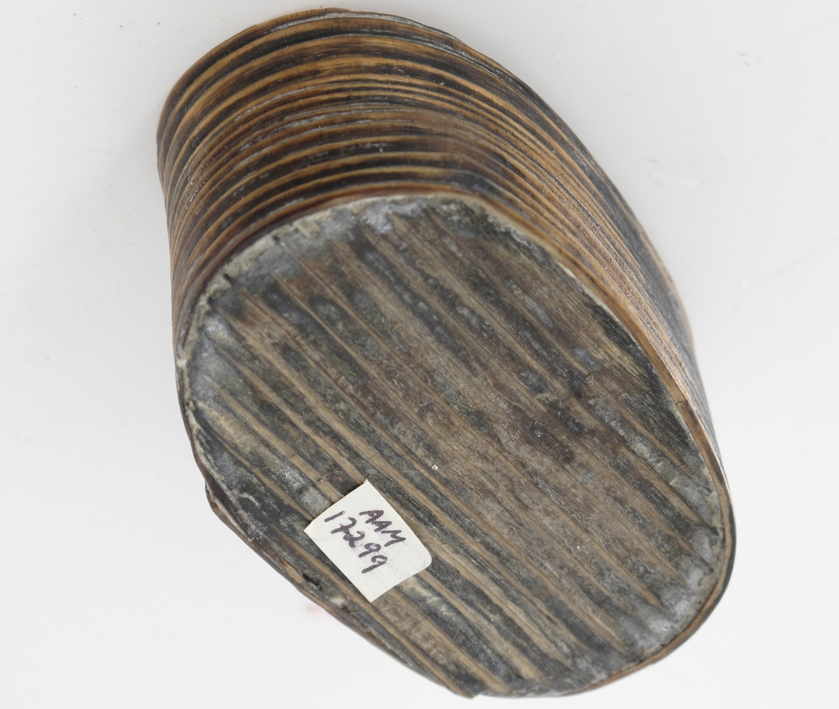 Liten oval eske (ask), Sveipet av tre. Oval bunn, rettsidet eske, lokk mangler.  Lå inni den større ovale esken med  myntene, knapper, de to signeter m. m.
