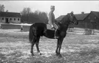 Strömsholmskursen 1916. Ridning på Strömsholm på Stallplan mellan lilla ridhuset (till vänster), officersstallet (till höger), hingstridhuset och hingststallet.