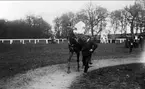 Strömsholmskursen 1916. Steeplechase på Österängen. I väntan på start, Kennedy.