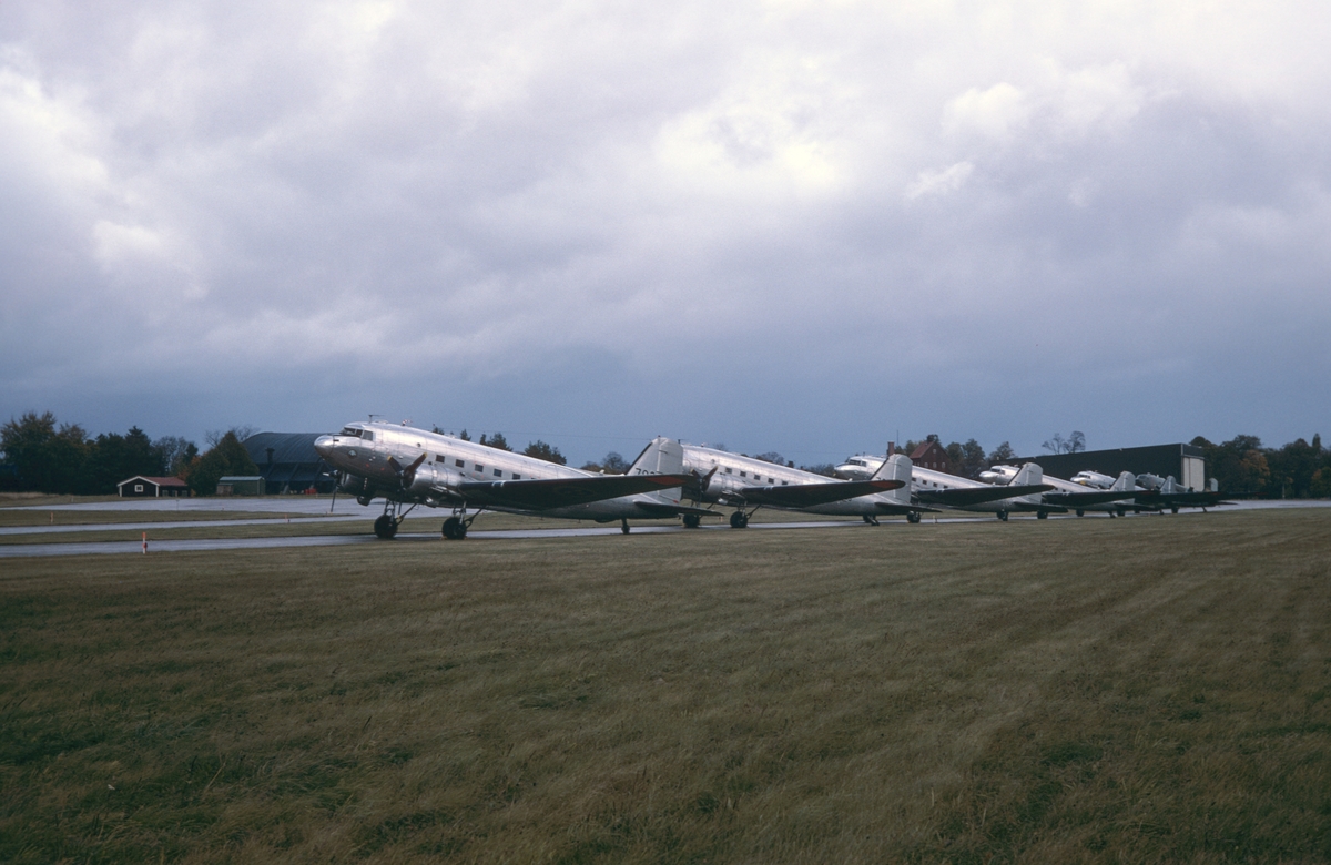 Flygvapnets alla sex flygplan TP 79 på Malmens flygfält den 8 september 1981. Flygplanen uppställda på fältet, vid uttaxning och start från flygfältet och flygande i luften. Serie om 20 bilder.