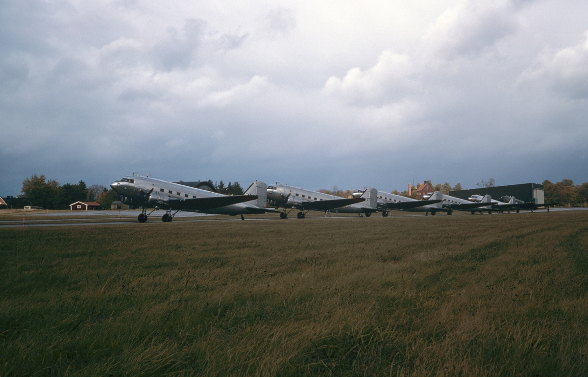 Flygvapnets alla sex flygplan TP 79 på Malmens flygfält den 8 september 1981. Flygplanen uppställda på fältet, vid uttaxning och start från flygfältet och flygande i luften. Serie om 20 bilder.