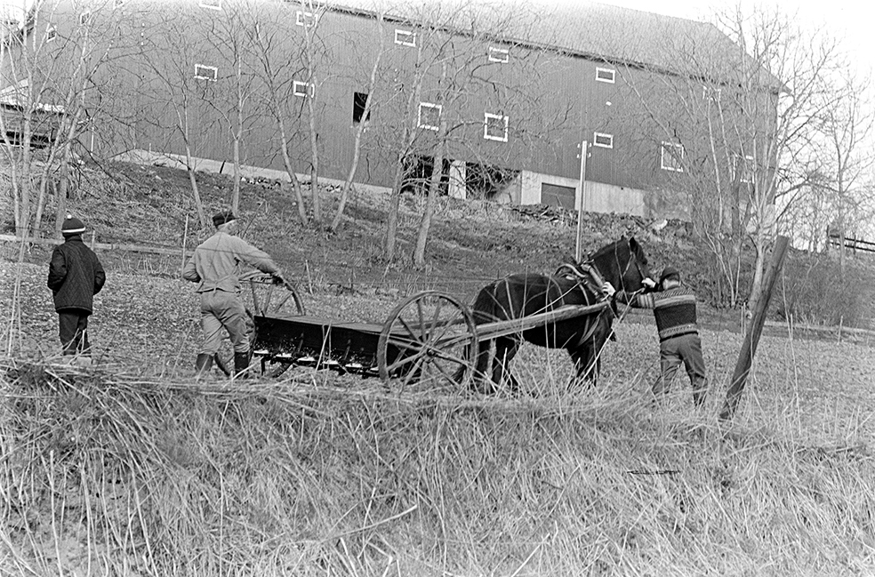 Mørkved lille, Gnr. 725, bnr. 1. Brumunddal. Våronn, spreding av kunstgjødsel, hest, hesteredskap.