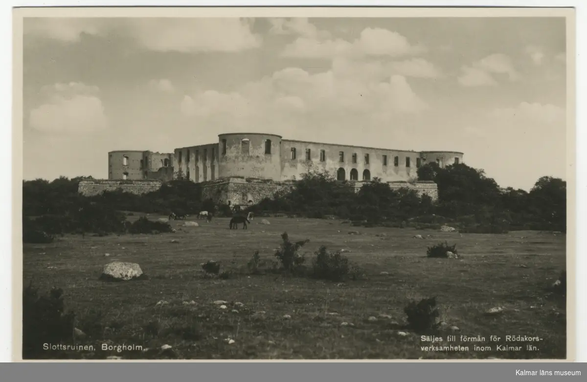 Borgholms slottsruin, framför slottet betande hästar och ett öppet landskap.